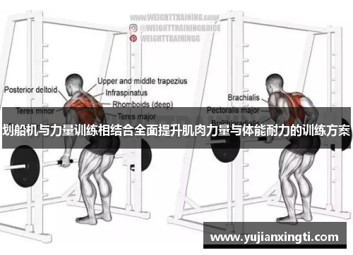 划船机与力量训练相结合全面提升肌肉力量与体能耐力的训练方案